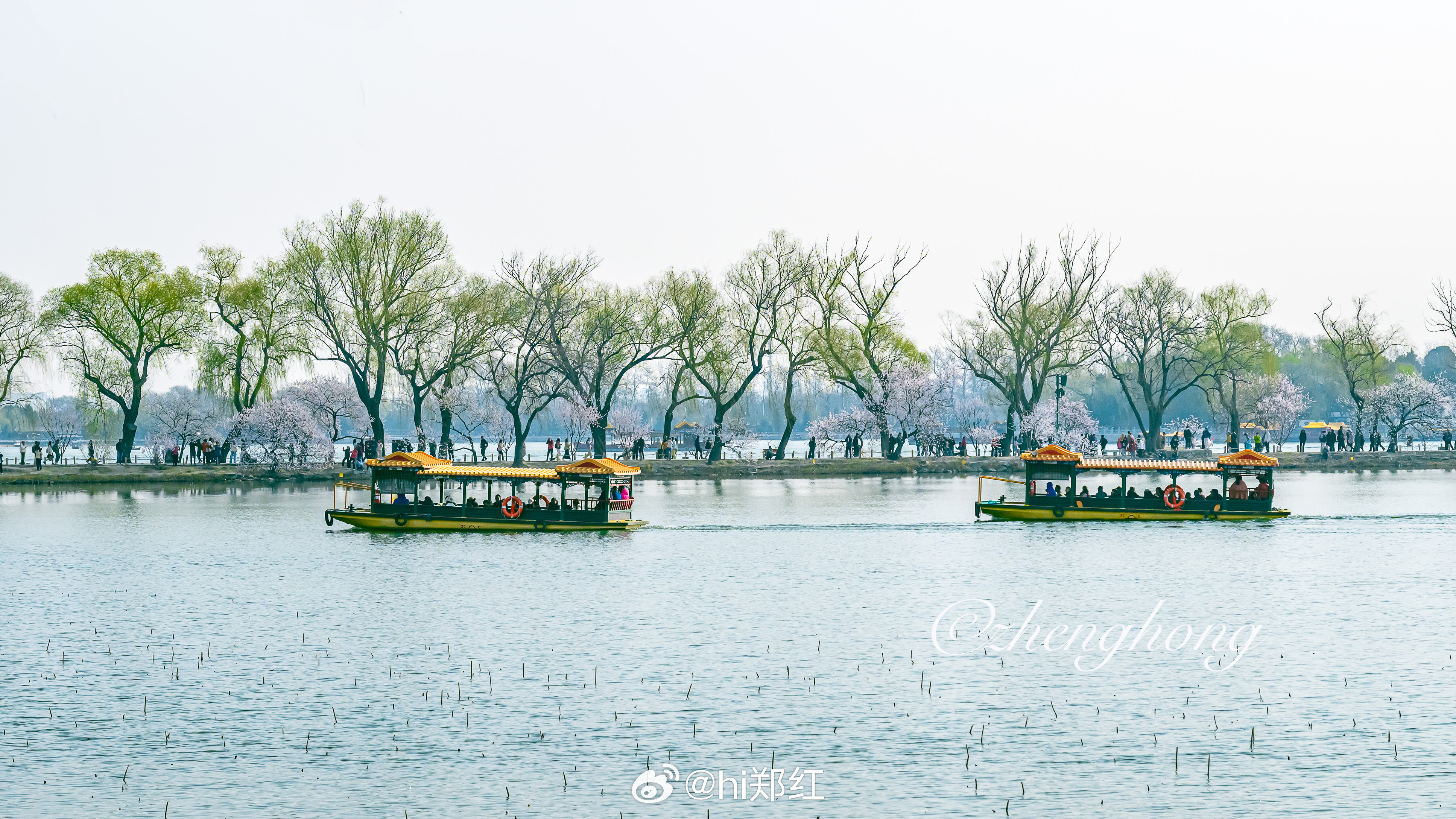 颐和园西堤春色撩人摄影北京满城春色