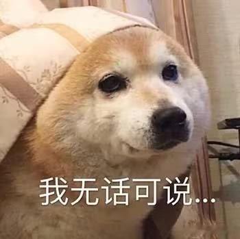 去咖啡节的路上三倍速完了重器23242526然后又看了2728的预告除了乌鱼子还