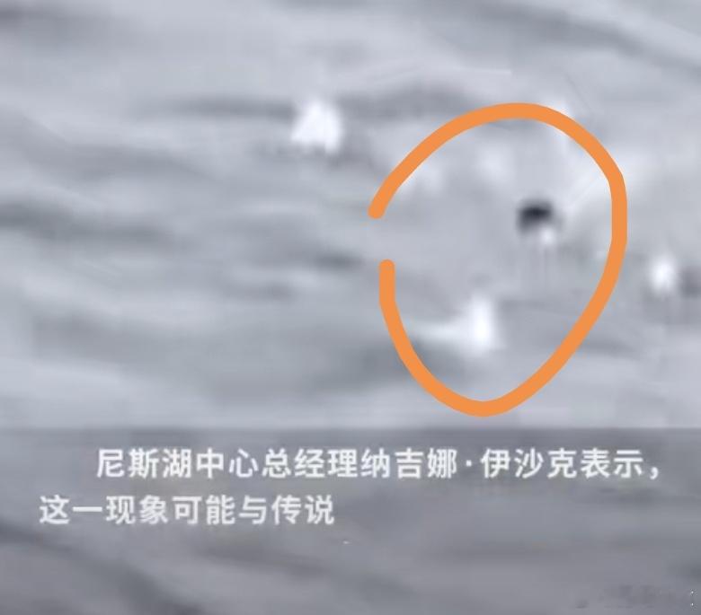 尼斯湖水怪再次被拍到有点侮辱智商了这是谁的拖鞋成精了 ​​​