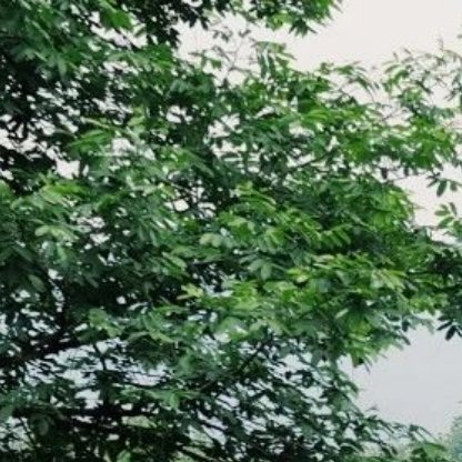 每日一善🌻生活不是赶考，没有人给你打分，所以放轻松。 