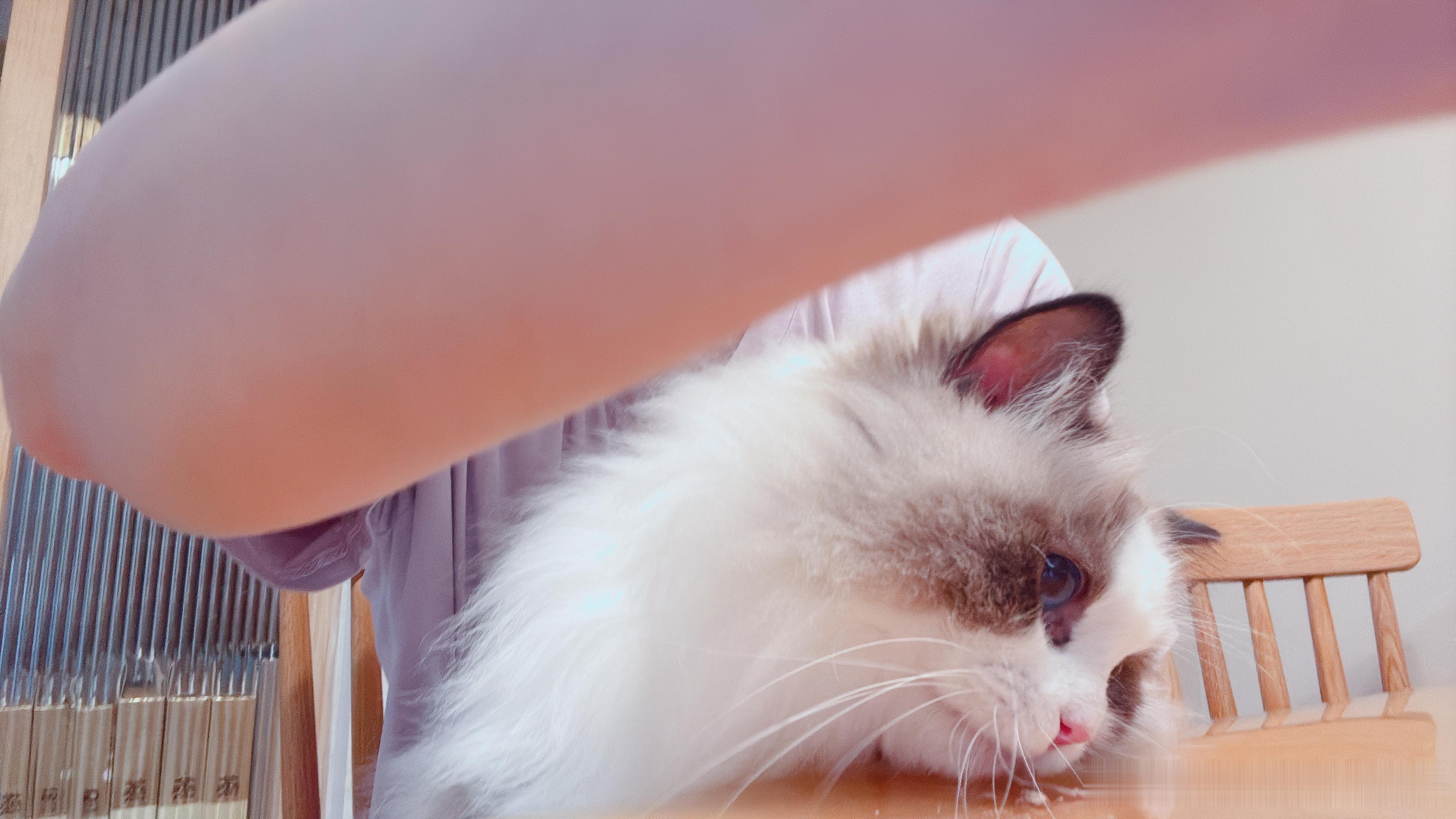 我：来跟妈妈拍照。猪哼：吃渣渣。 ​​​