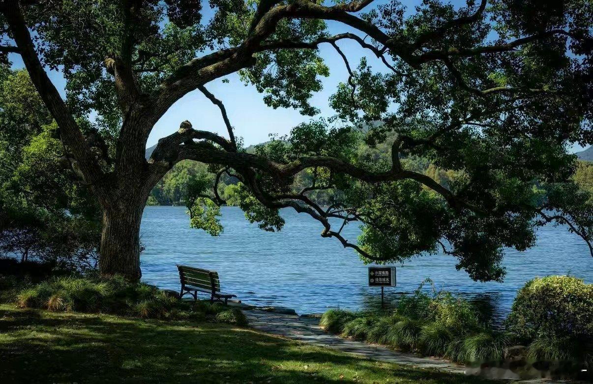 全国人民羡慕杭州人一边是杭州人的松弛快乐，一边是打工人的上班怨气，对比下来真的忍