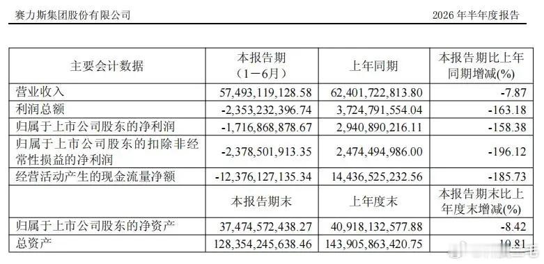 赛力斯集团发布2026年半年度报告显示，今年上半年，赛力斯营业收入约574.93