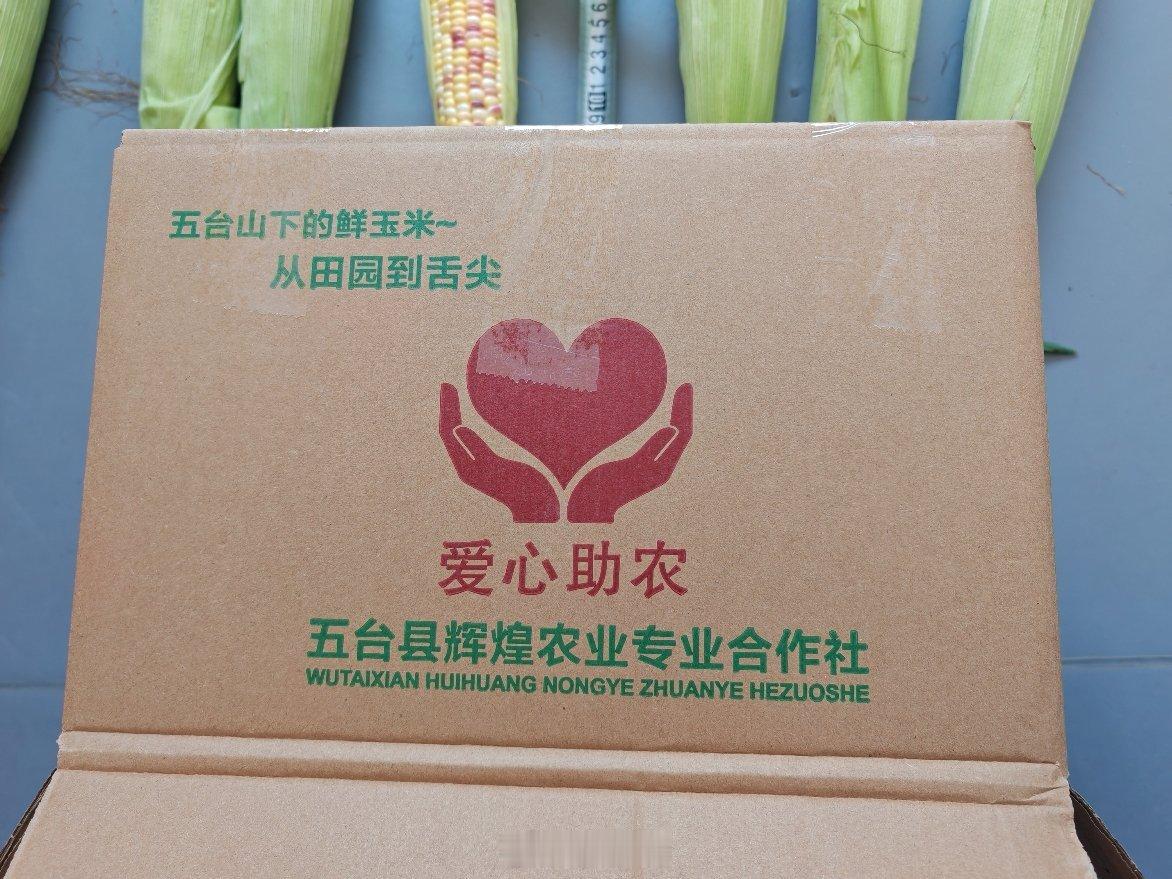 今天不是掰玉米，卖玉米嘛，其实在我看来订单很少，一二百单，不及彩虹油蟠桃的零头。