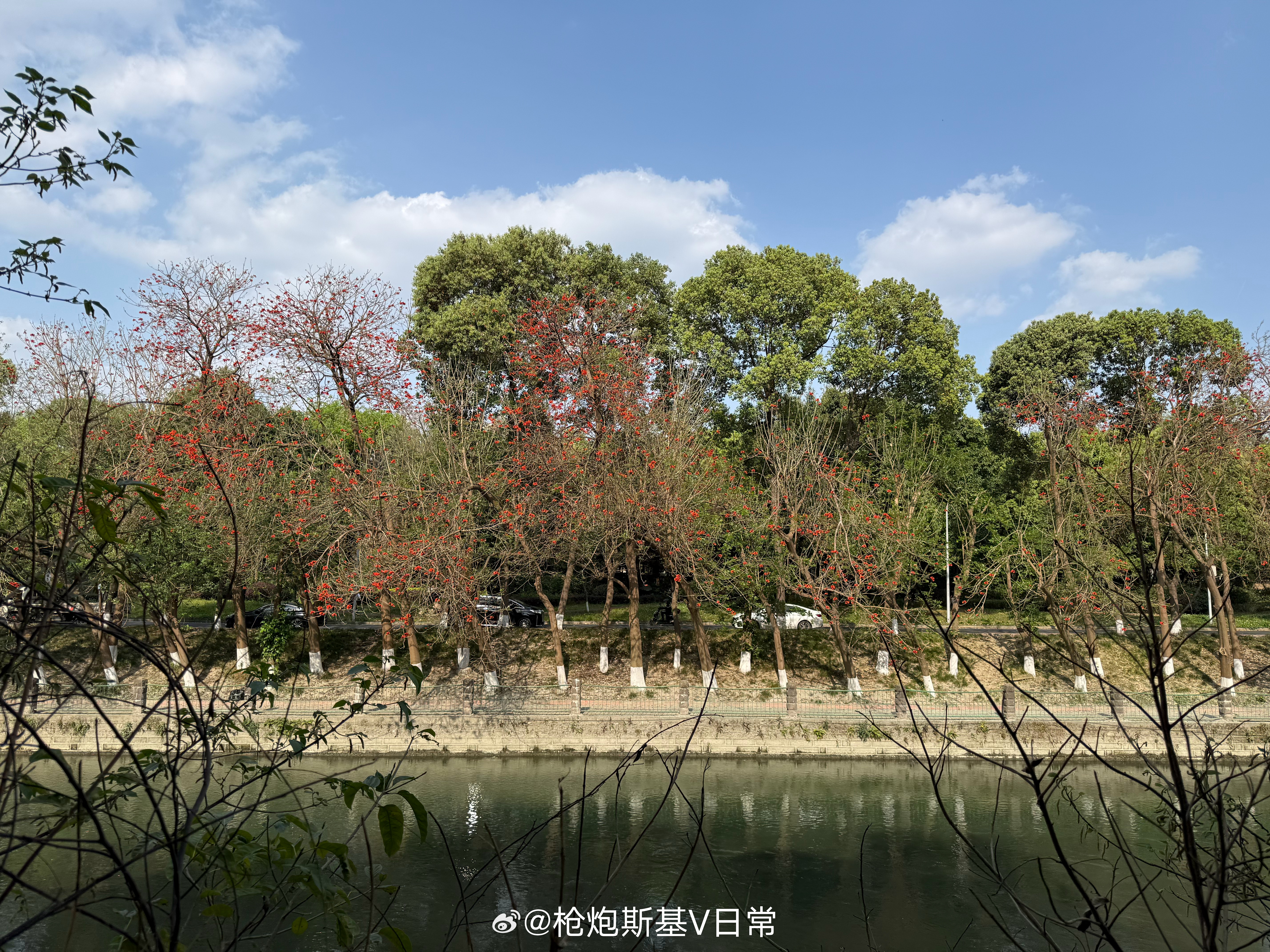 这小景色太美了，现在的成都是最舒服的时候呢。 