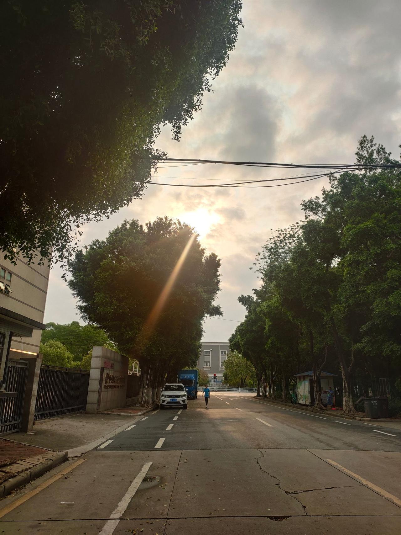 经典的歌曲永远值得反复推敲夕阳街道随拍 晨阳下的街道 vlog日常 原创视频