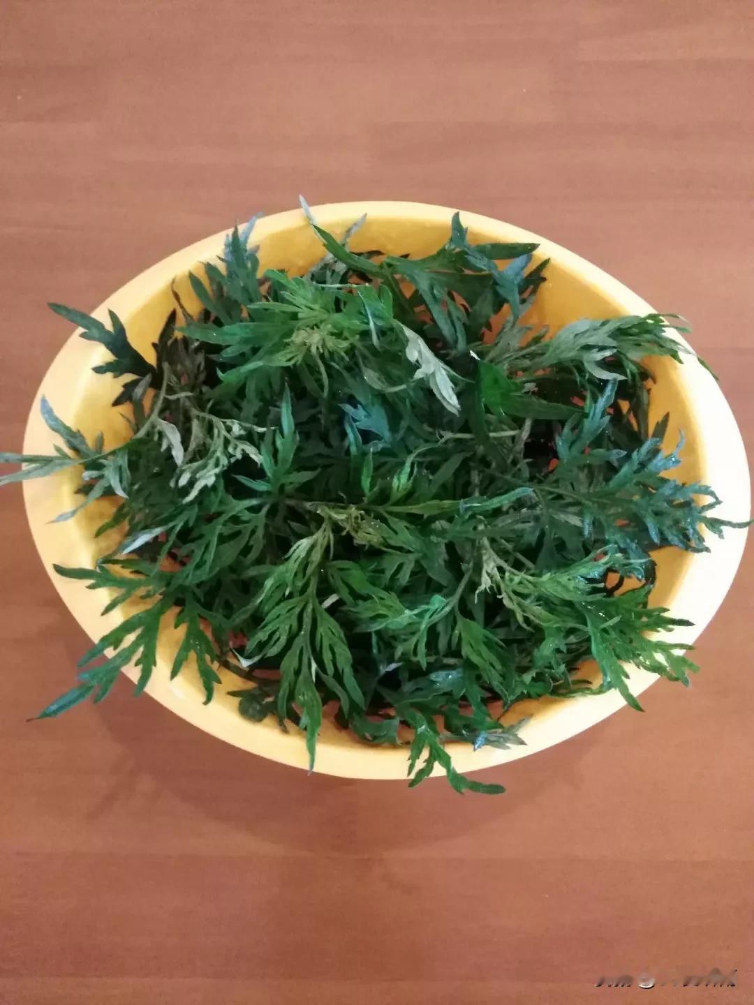 花盆里的艾草长得郁郁葱葱，青翠欲滴。今天终于有时间把艾草摘下来做艾果了。
我先把