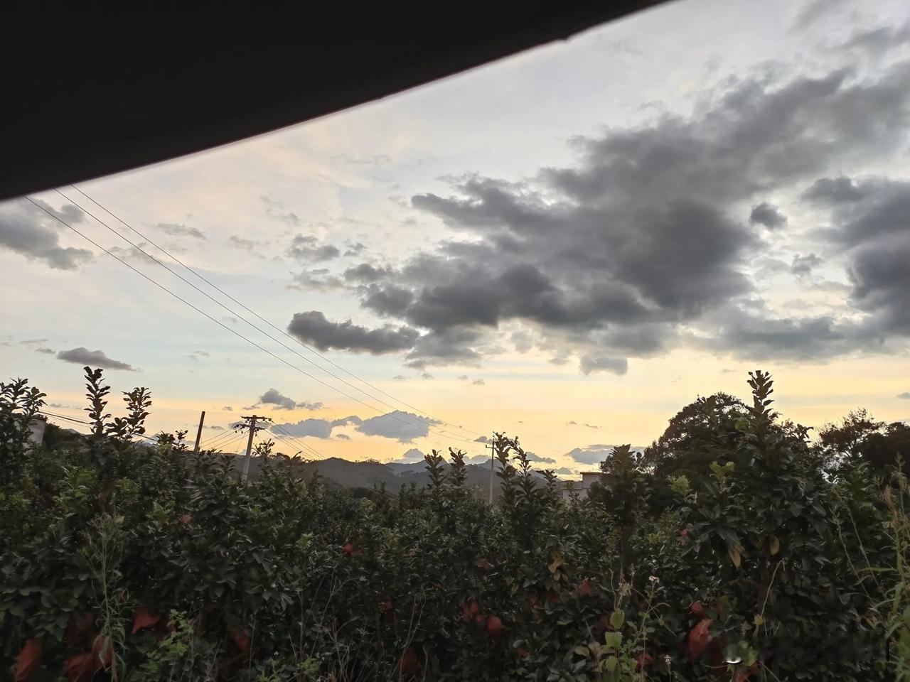 暴风雨前的傍晚，很宁静！
明天台风就要来了，又要下好几天的暴雨，这才停了2天的雨