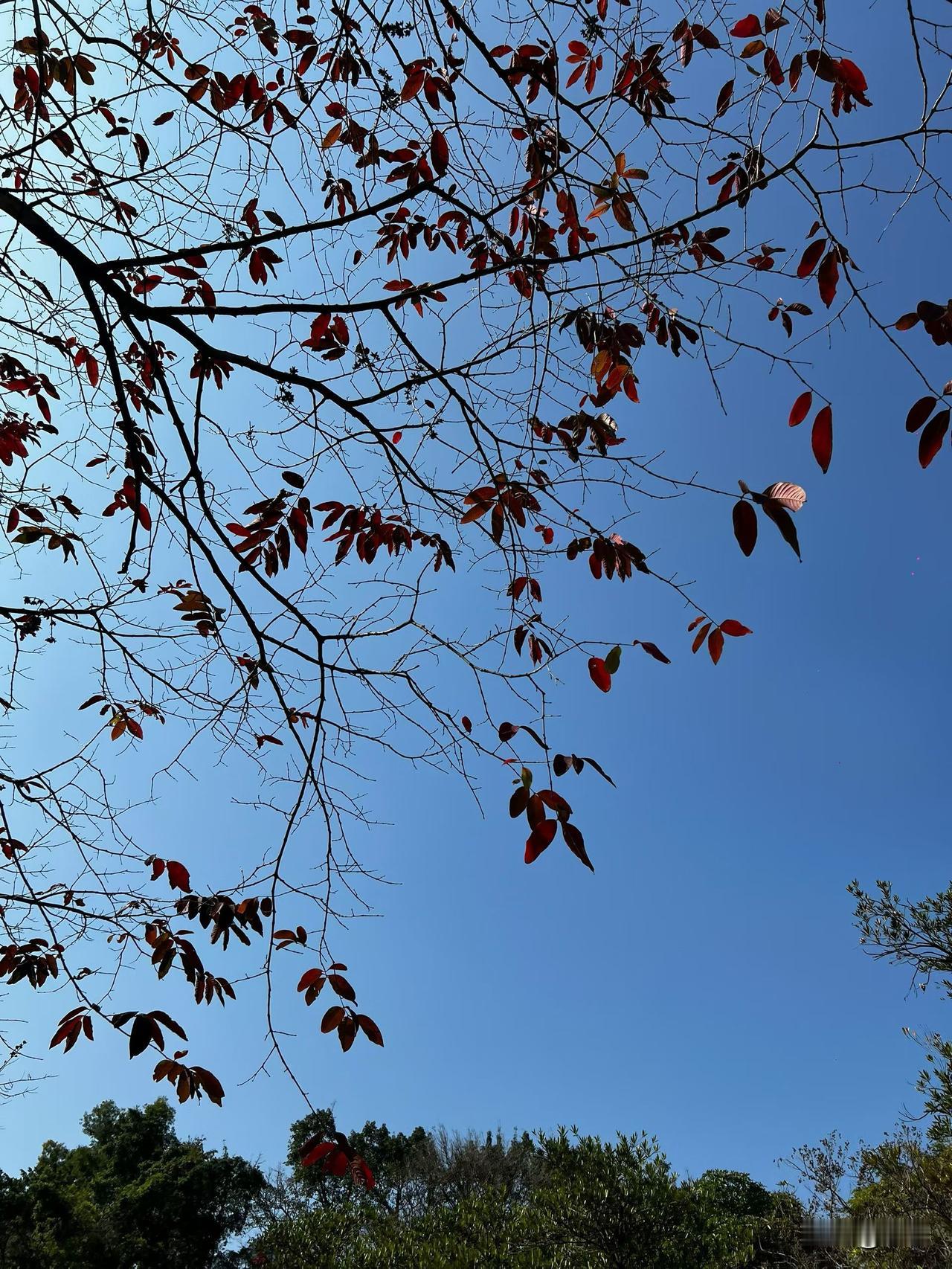 这年头，负债的人很多，有谁像我一样，老公坑我负债50万左右，让我去贷给他。

商