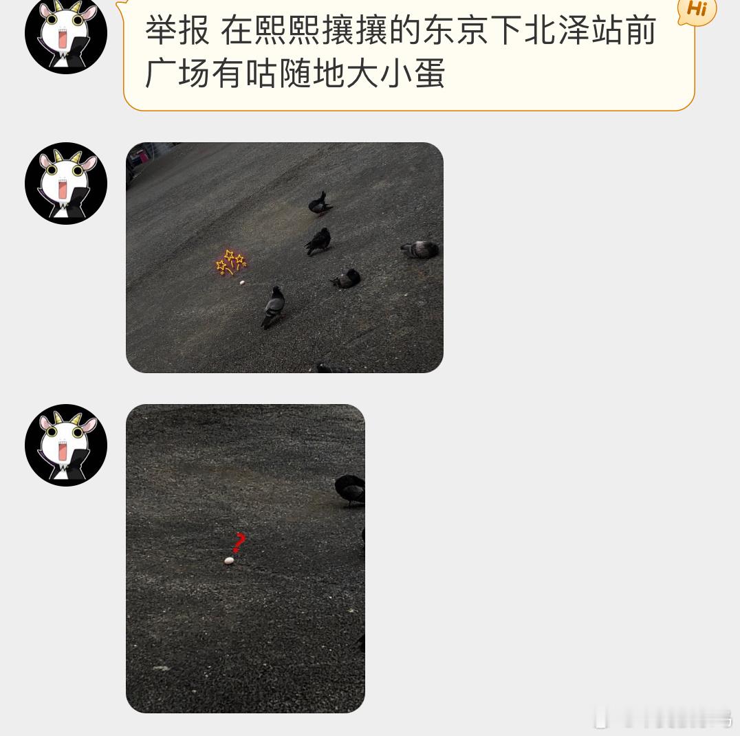 ？？？在广场上随地大小蛋的咕咕憋不住了… ​​​