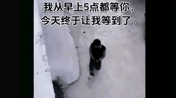 男子经常在这里小便，楼上人实在受不了这种骚味，楼上人就蹲守几个小时，看到男子又来