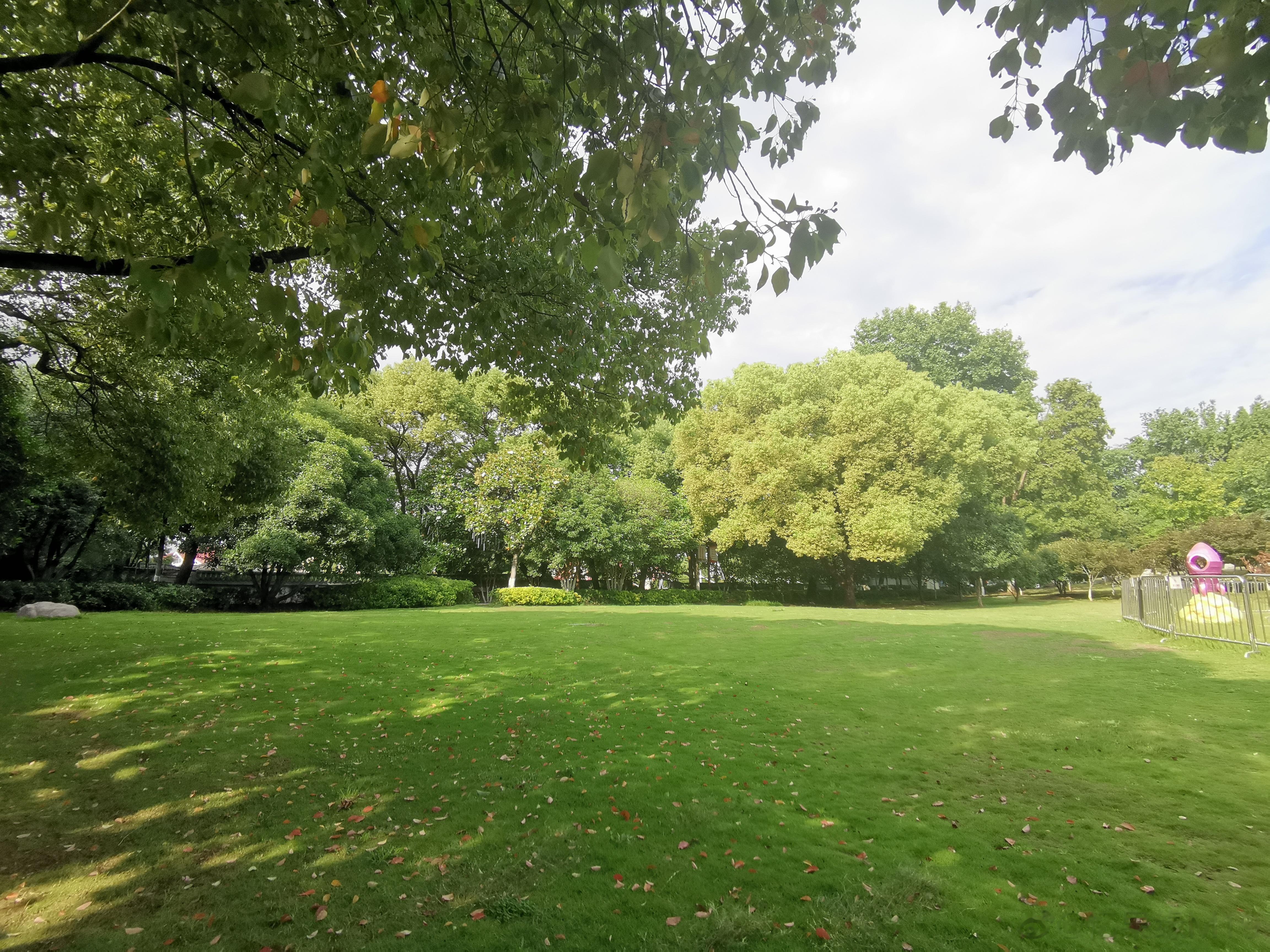 脑供血不足注意这5个异常，你需要养血管了。1. 感觉莫名其妙的就发脾气，情绪很容