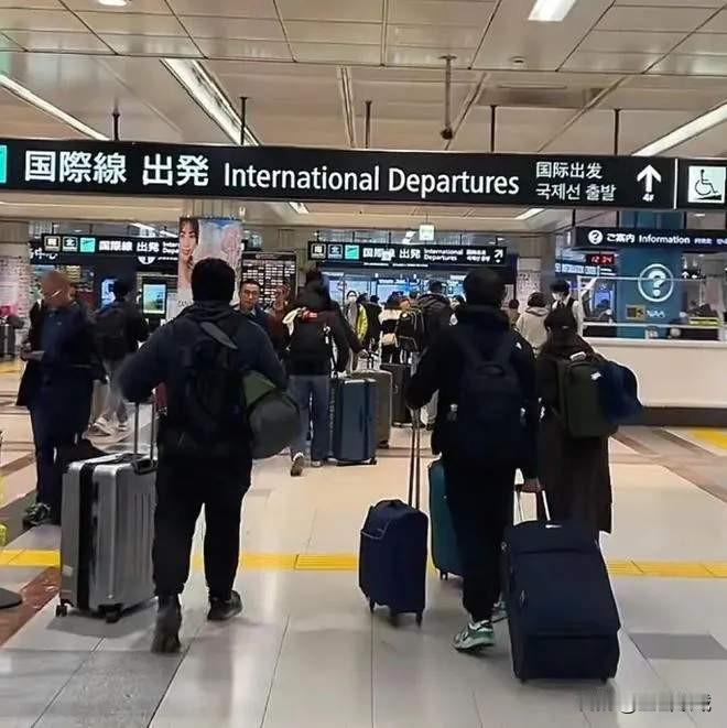 数据不会骗人，但趋势会说话。最新统计显示，12月中日航线已有904个航班被取消，