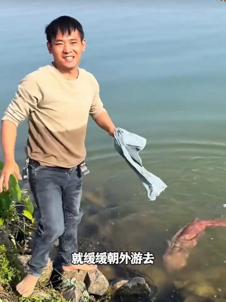 小哥钓鱼意外掉到一条娃娃鱼，一眼望去估计有个三四十斤。听着小家伙哇哇大哭的声音，