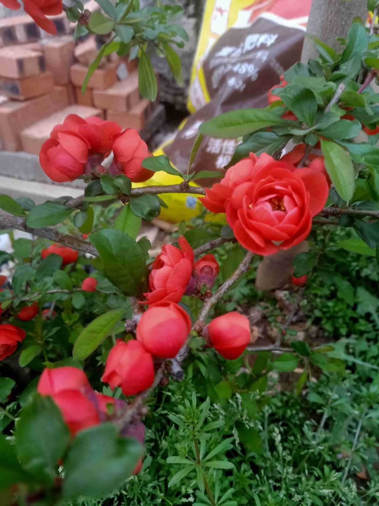 我的今日状态：😁轻松愉快
我这里的天气：☀️晴天