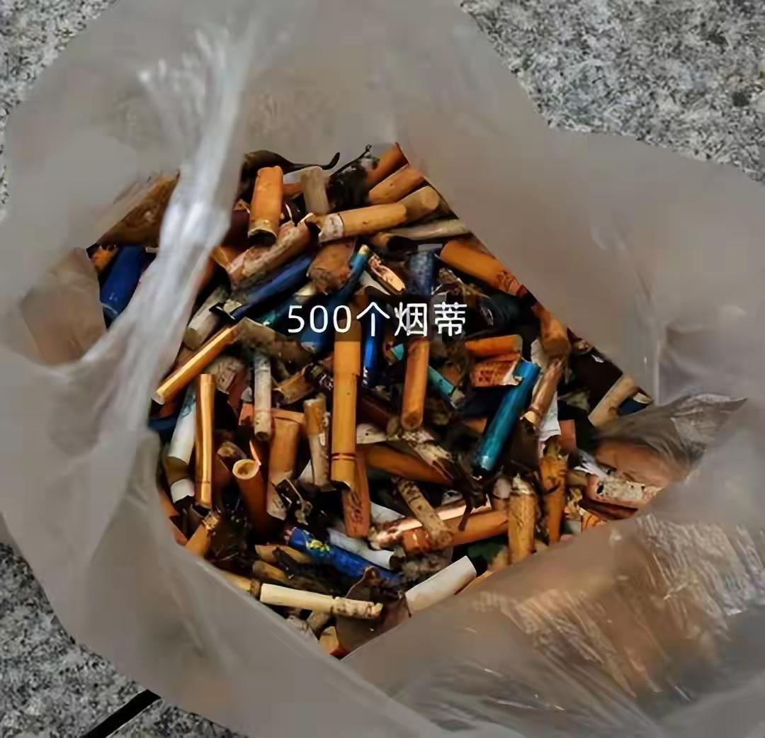 近日，广州一位卓小姐饭后散步顺便开启了“街头寻宝”模式，两天时间竟收获满满，捡了