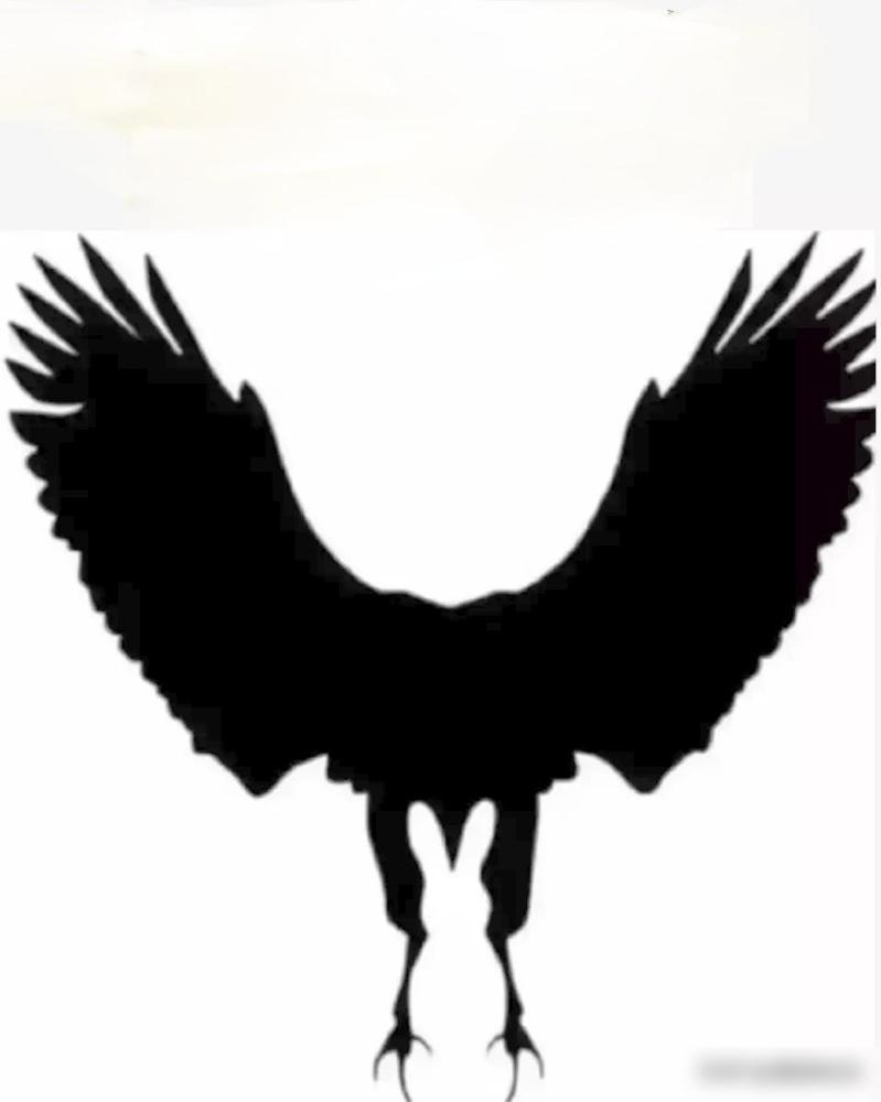 你此生会拥有多少财富？第一眼你看到了什么？A：兔子

最近和几个老同学吃饭，聊到