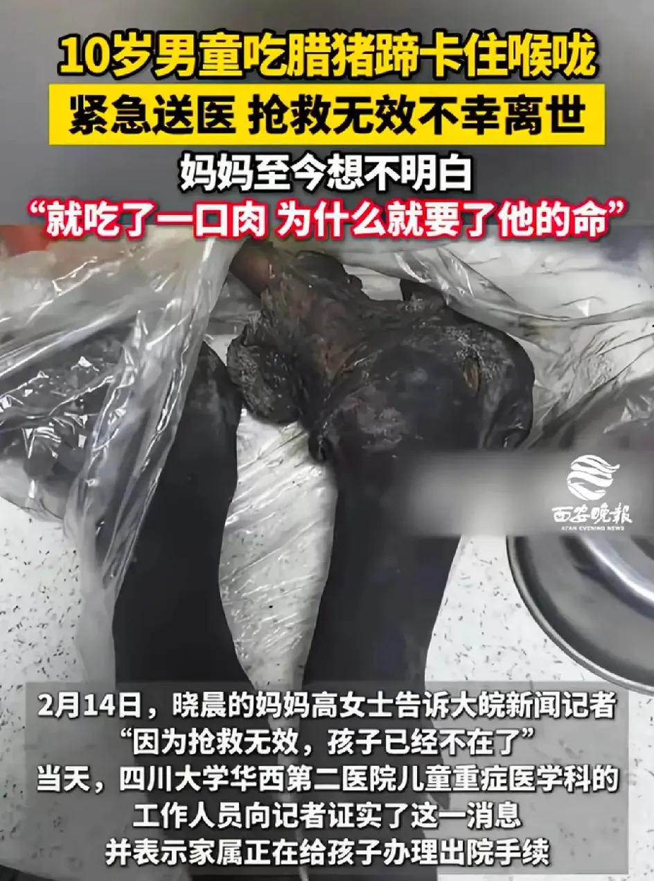 家里有老人，孩子的一定要注意，吃食物一定要细嚼慢咽。哪怕一个成年人，吃东西也不要