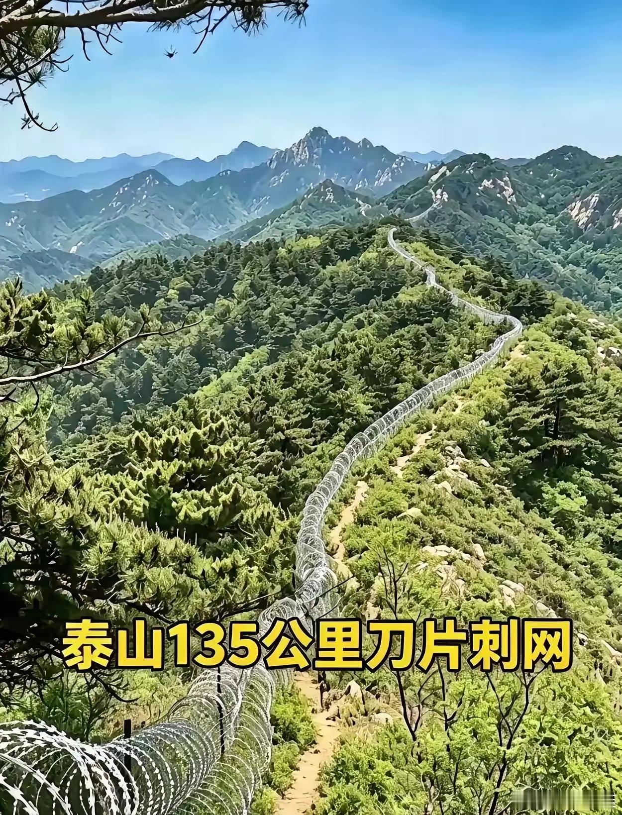 两千多万的工程，建的时候昭告天下，拆的时候居然找不出一个能做主的人。135公里，