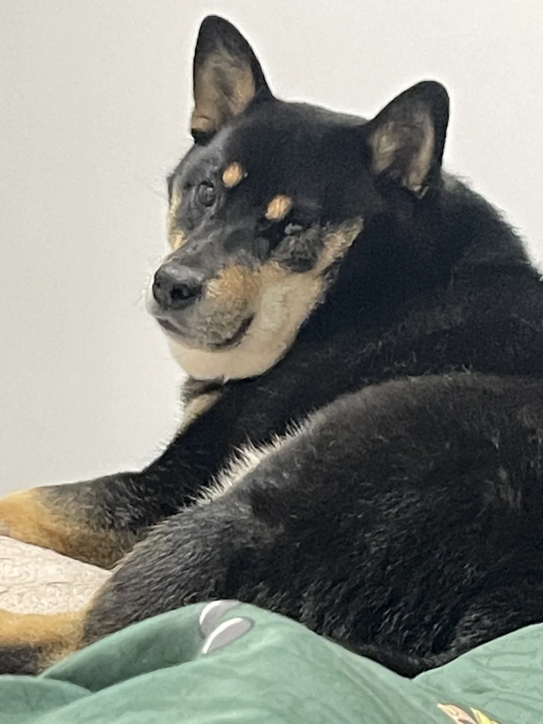 宝宝你不要再胖了 。。。。