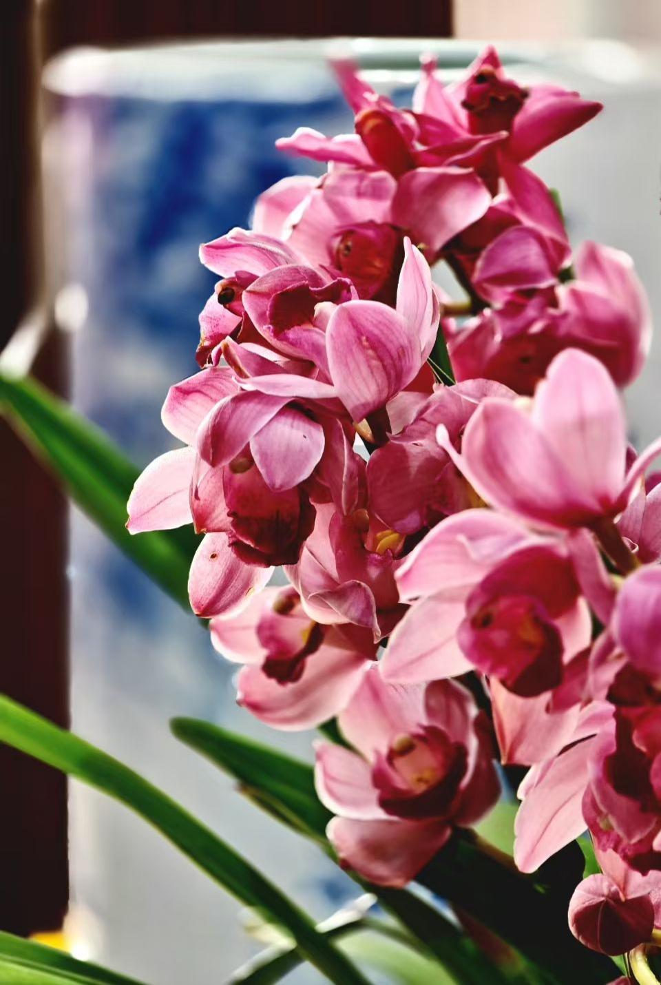 不必刻意讨好谁，只在自己的时光里，静静舒展，自在芬芳。