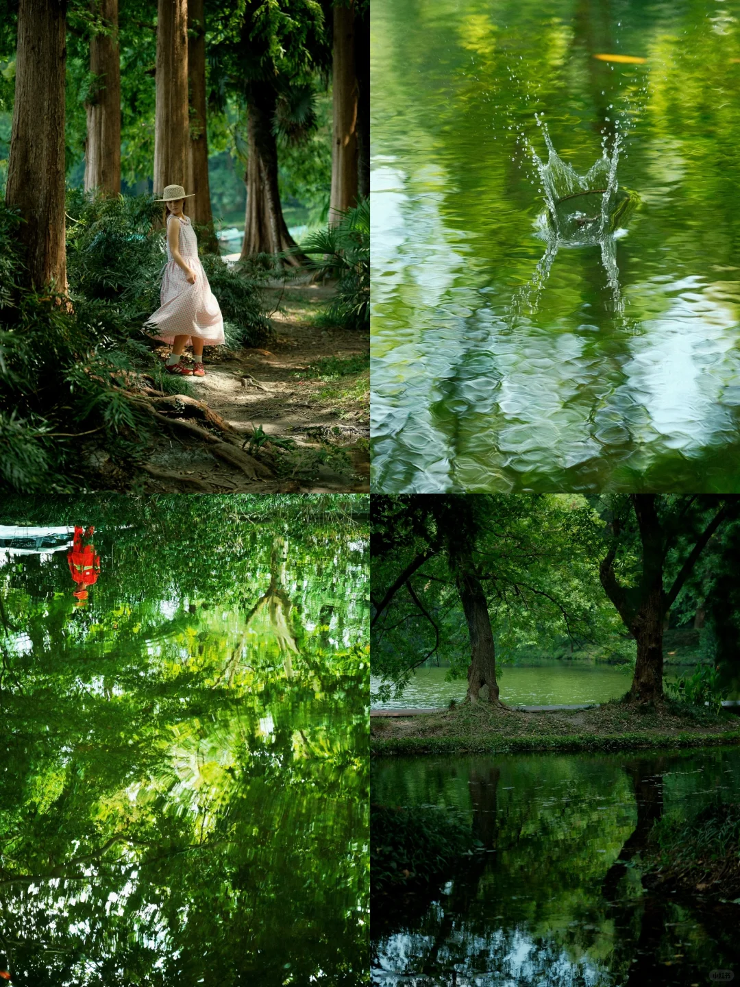 西湖秘境｜没有目的地，随机下车就能把你美翻