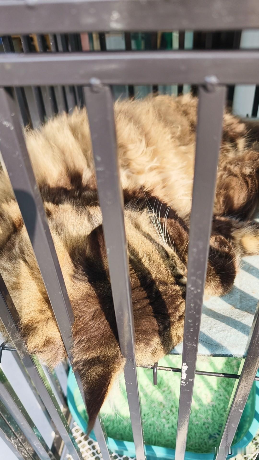 为什么很多人觉得在家工作很幸福？或许和我一样，一次次从离家的火车站出发，心中总会