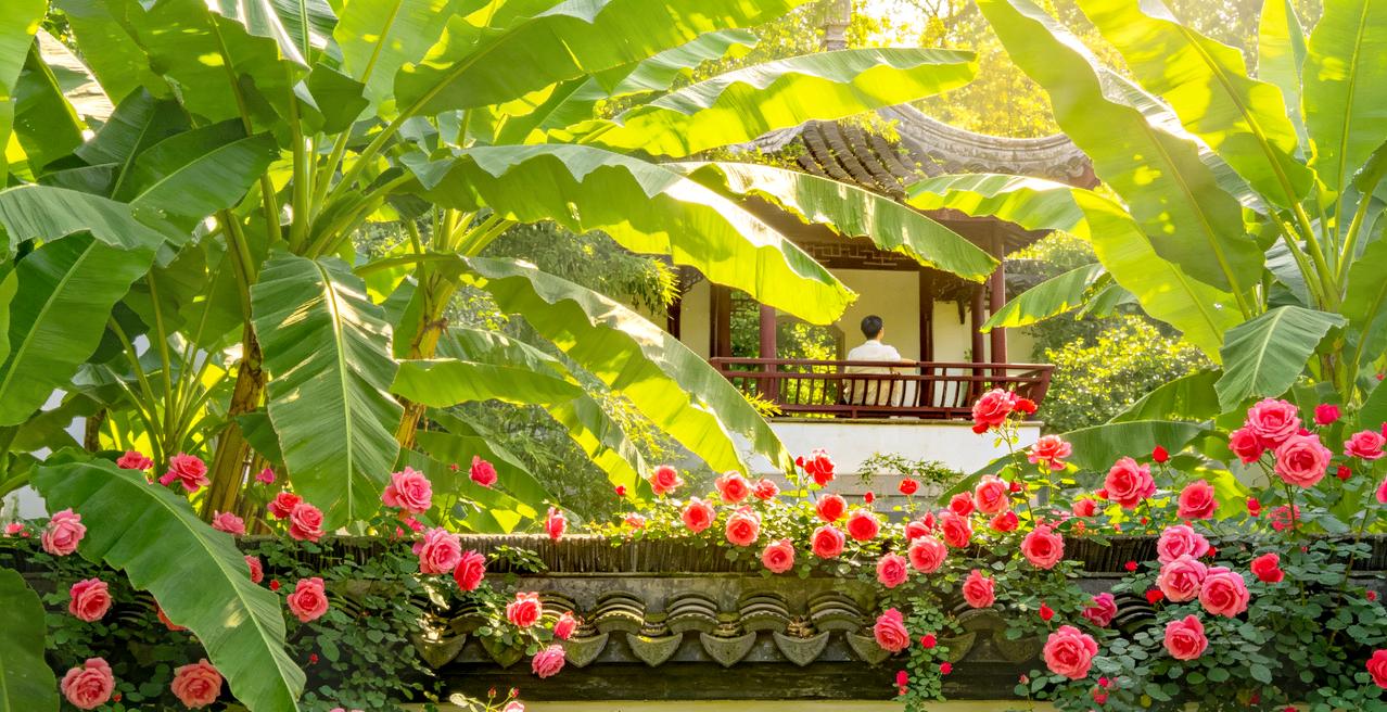 【原创作品】
   七律•夏日闲咏
       文/张和平
长堤垂柳曳轻烟，野