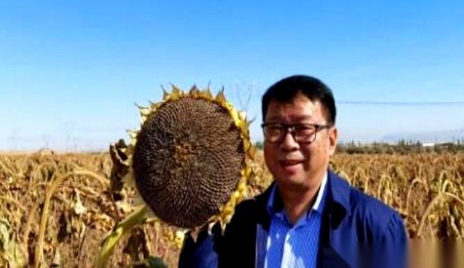 重庆大学有个搞力学的教授，叫易志坚。他的专业，是研究怎么让东西碎掉，怎么让结构崩