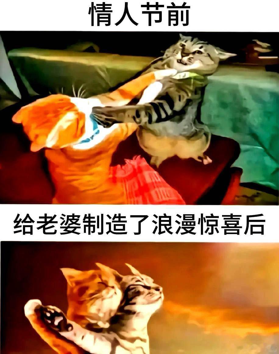 带爷爷奶奶过情人节 真的不用反复问想要什么，直接送到门口的惊喜才最戳心。就像老一