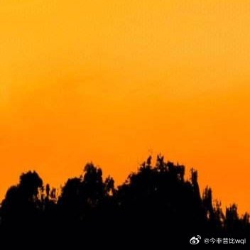 不跟应该的自己相比，要点在于去做自己喜欢的事，而不是去做应该做的事；去做自己喜欢
