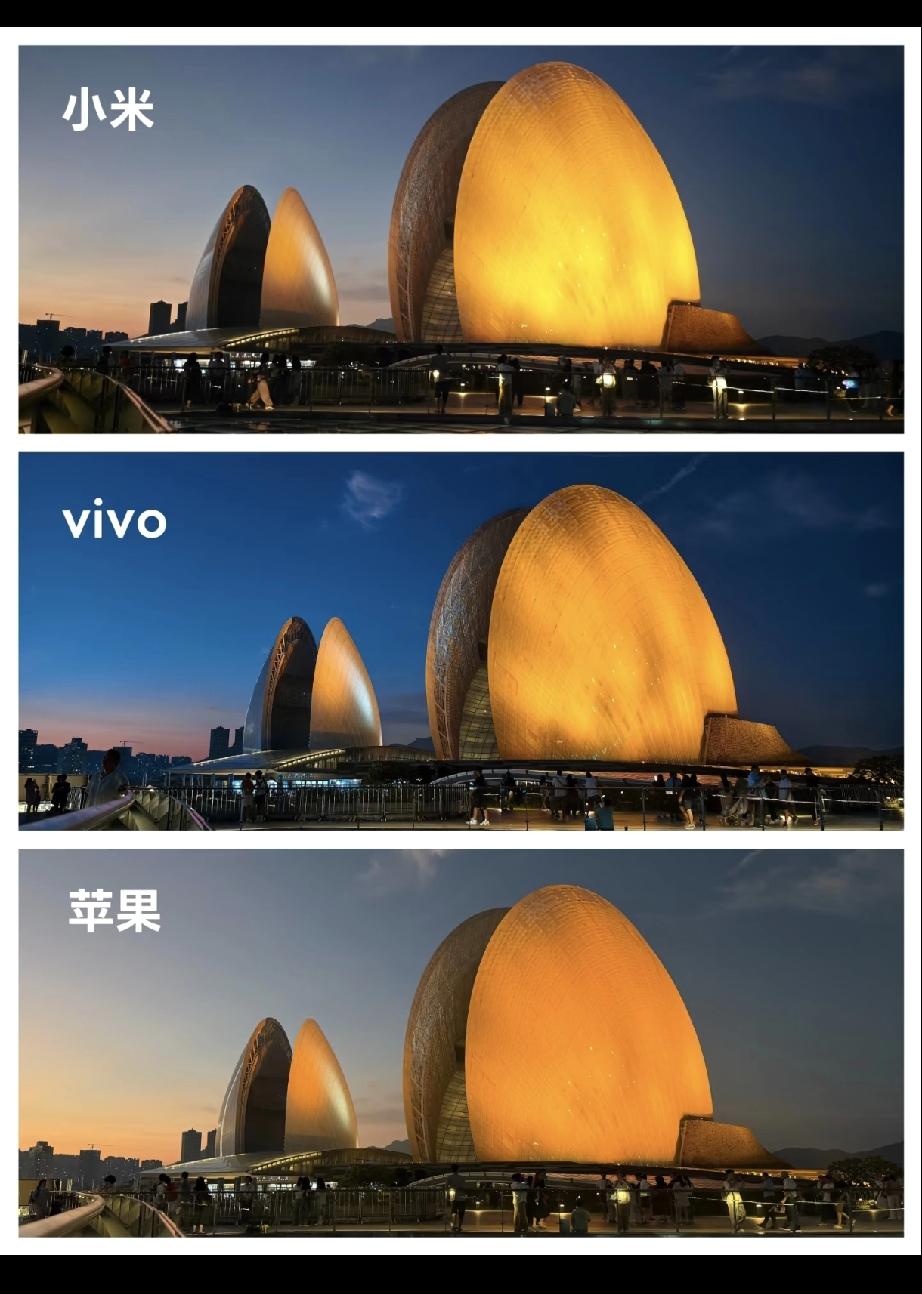 这么一看，vivo 最浓郁，iPhone 那个黄色比较自然，小米高光有点过了[呲