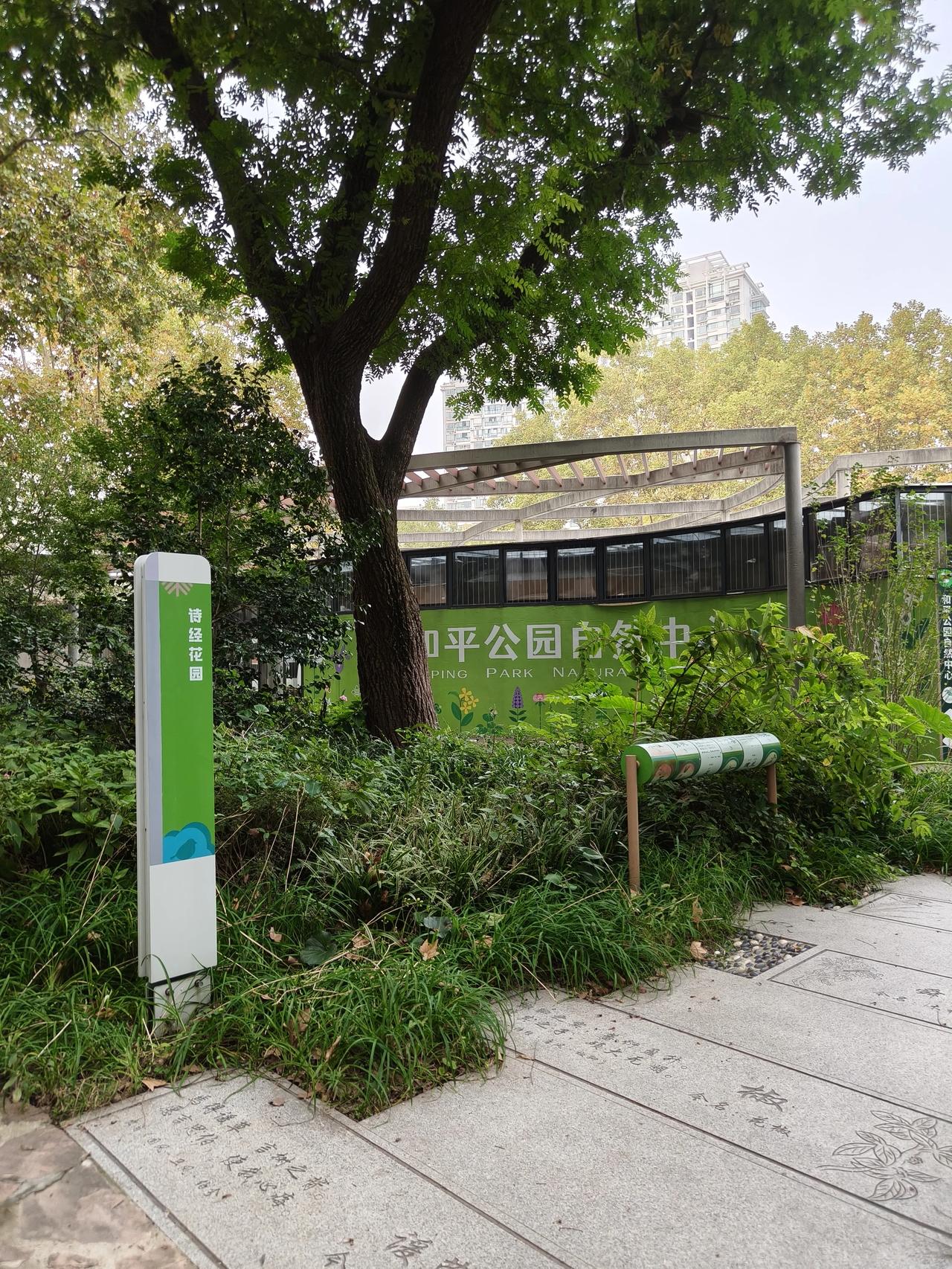 今天有雾霾😷刚刚还是去了趟家

附近的和平公园～最主要是去赏桂花的～🌼

不