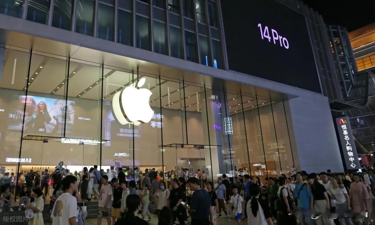 真不知道这些果粉有什么可愤怒的，苹果本来就是双标，人家对中国的战略就是盈利然后补