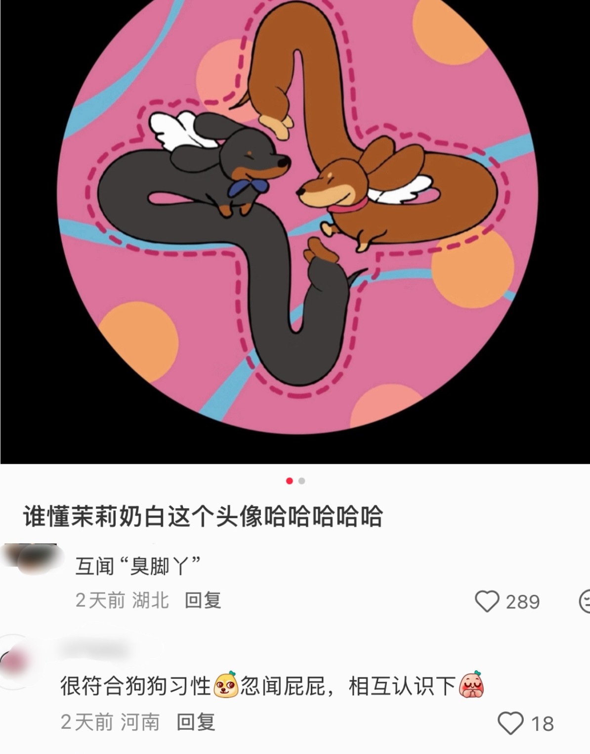 露思真的很有商业头脑，谁来懂下这个茉莉奶白头像哈哈哈哈… 