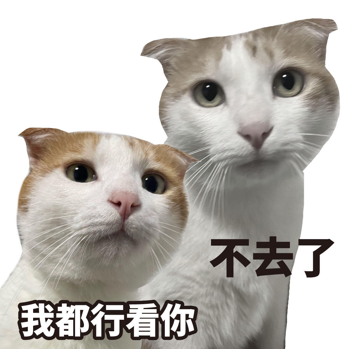 语言的艺术我大学特学 说话是一门必修课，学会精准表达与委婉回应，不再因沉默错过机