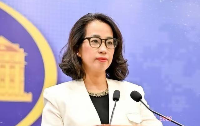 越南突然跳出来要求“中方尊重越南对西沙群岛的主权“！很多人以为这是双边领土争议的