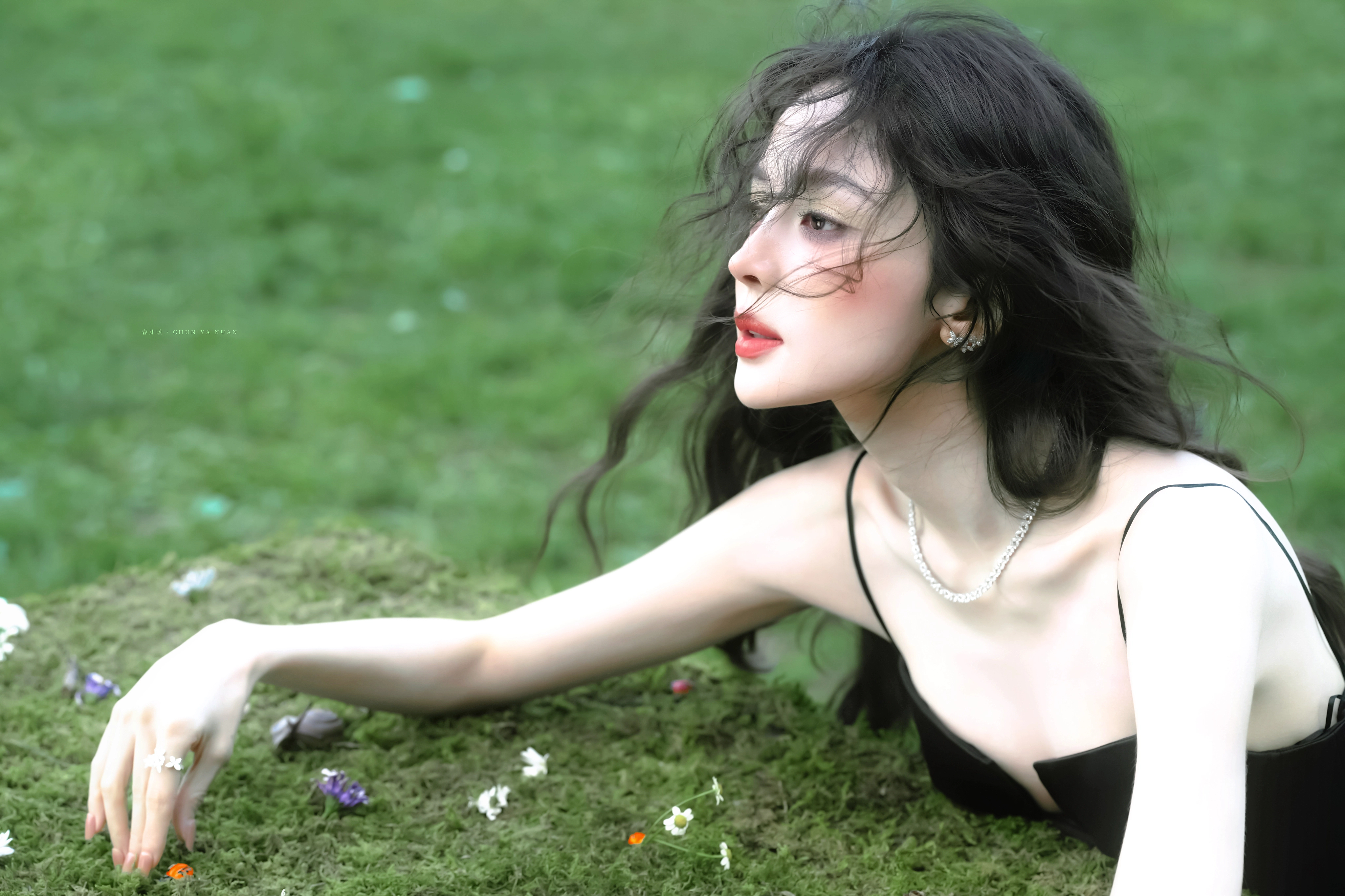 娜扎绿野仙踪🌳🦋🍞 