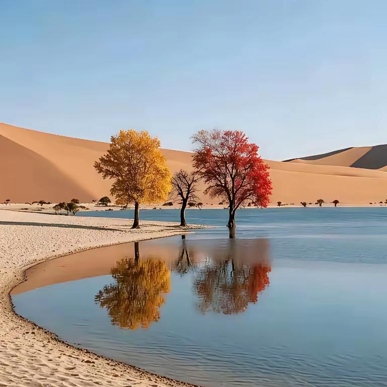 生活不是等着暴风雨过去，而是学会在雨中撑伞慢慢走