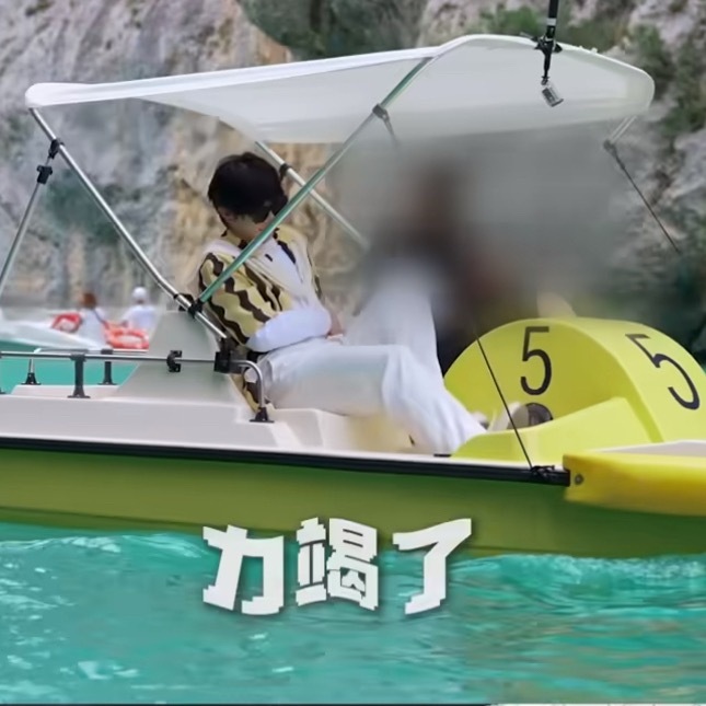 想起来小时候在公园的湖里也是骑这种脚蹬船，两个人坐在一起就使劲蹬呀蹬呀，但是船走