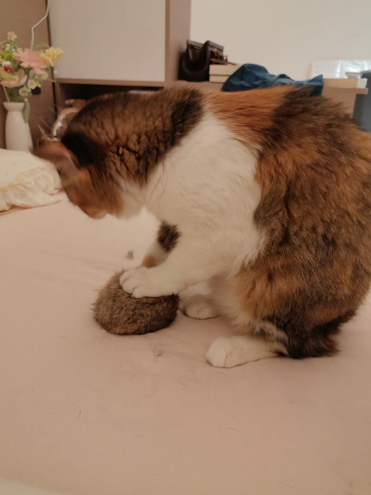 年少吃苦和年老吃苦,哪一个更苦?还不够v他v也能用后备干部拓跋余公园今年要不要