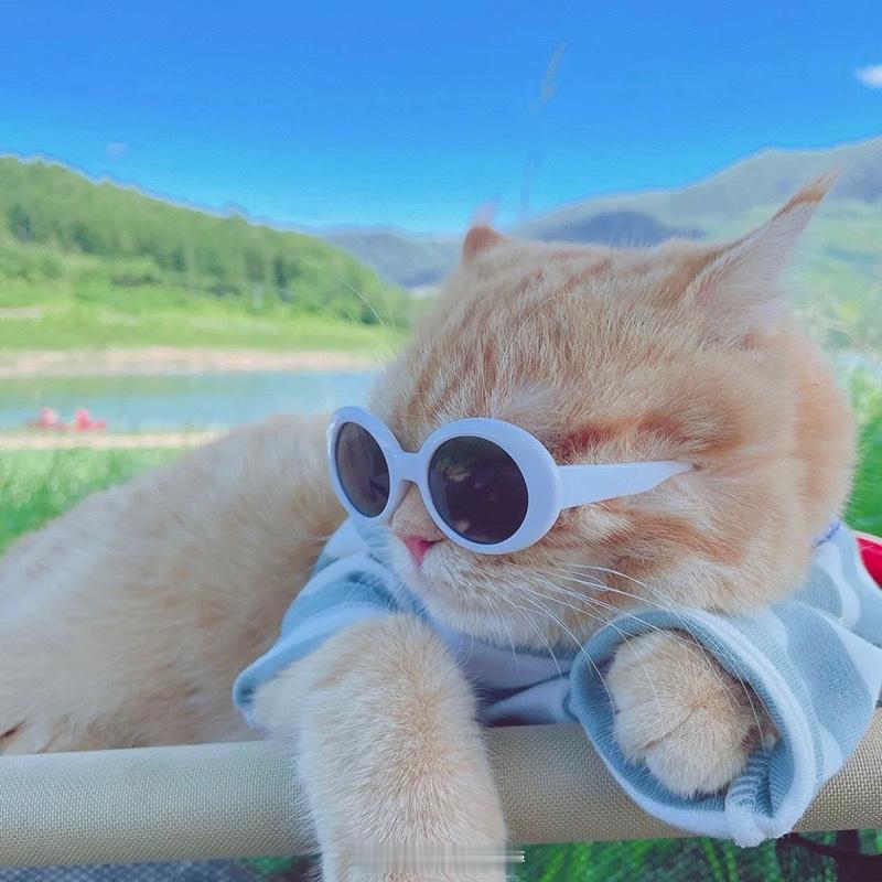 #微信背景图# 已经感受到夏天的味道了🍃🎈风和你都是自由的所有的不开心都会被