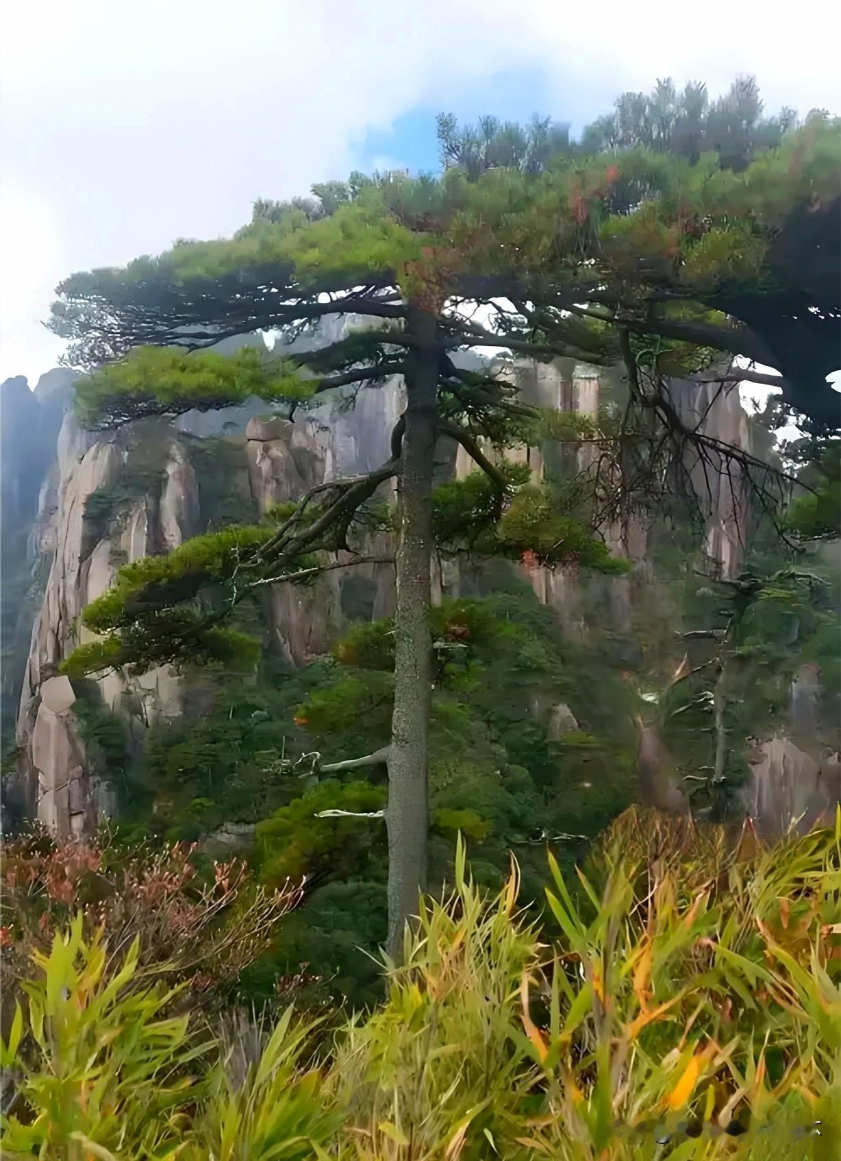 下联：萧萧散发立松风
下联：有请雅士[玫瑰][玫瑰][玫瑰]