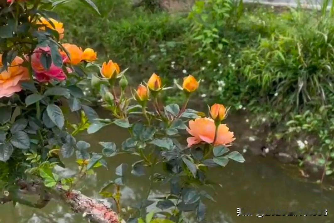 连续观察一个药店的经营活动，发现顾客远离药店是药店自找的，这种模式再不改变，人流