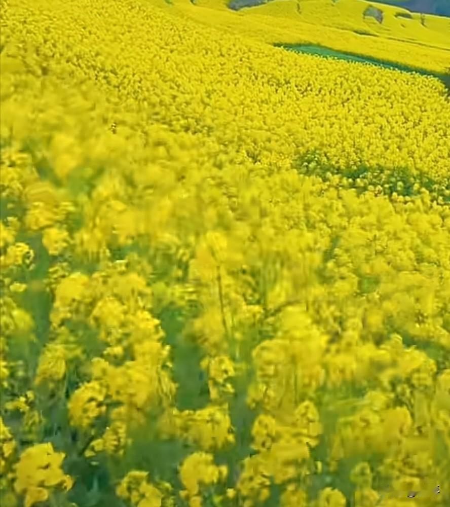 “人心本是天边月，聚散原如草上霜。”
 
本就知道结局的事，又何必耿耿于怀？
 