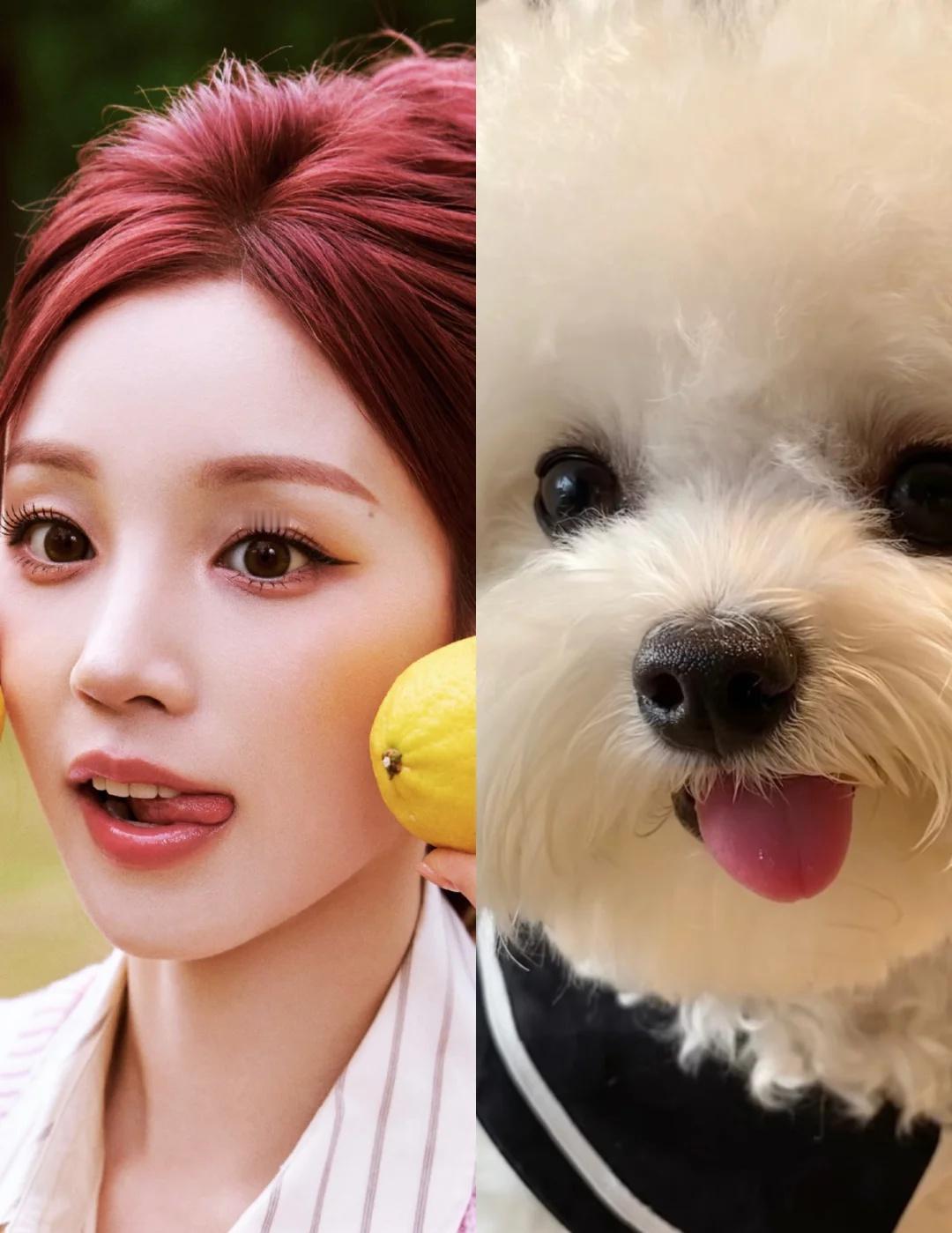 没有宋雨琦对不上的狗1️⃣8️⃣2️⃣
你咋吐舌头！！！太犯规啦！！
宋雨琦 这