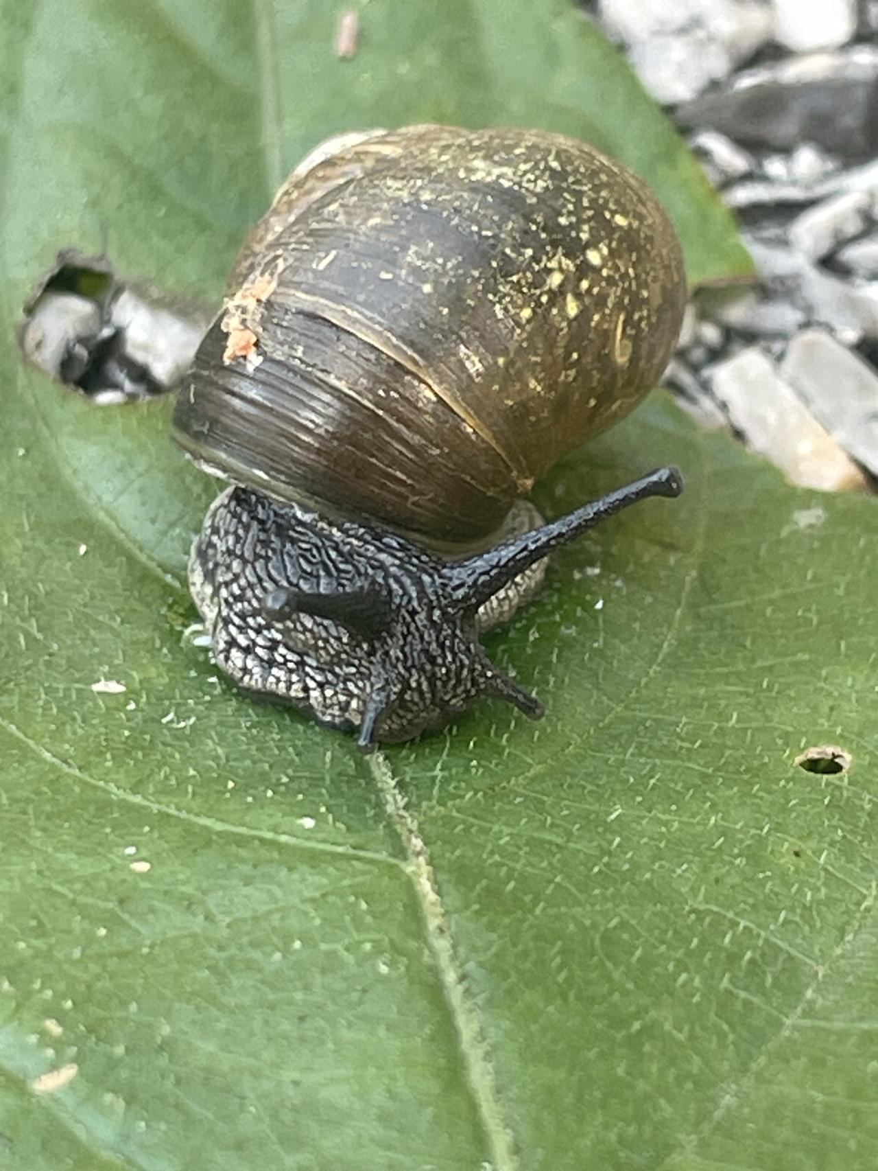 冬日生活打卡季我参与了【冬日生活打卡季】活动，今天也是仪式感满满的一天！戳这里?