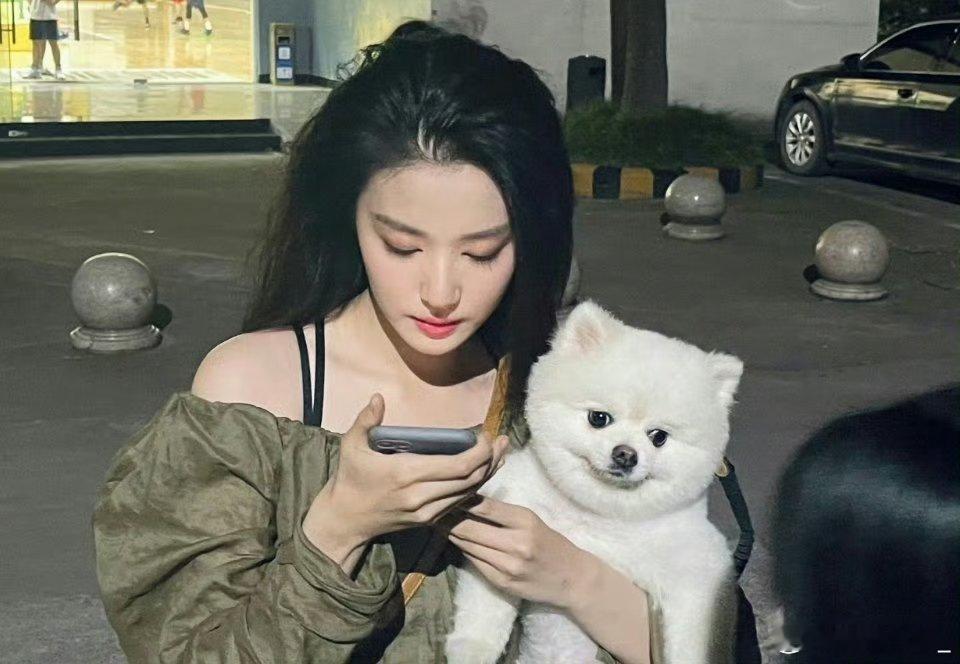孟子义想看自己的狗都得预约吧巧克力跟着孟姐混娱乐圈直接出道得了，巧克力少爷这狗生