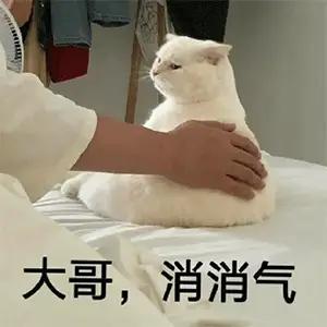 好玩，哥几个都消消气。