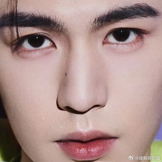 内娱男流量五官大赏（精修版）姐妹们觉得怎么样？图片均来自工作室或本人发布，均为刘